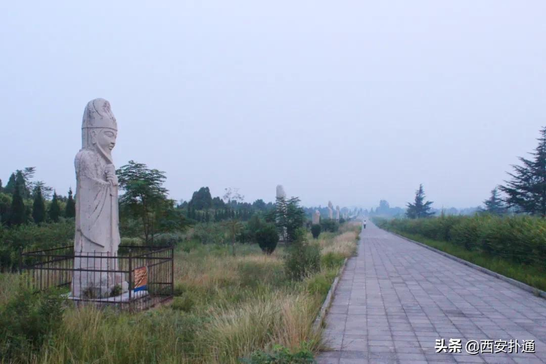蒲城，我去过最好吃的城市