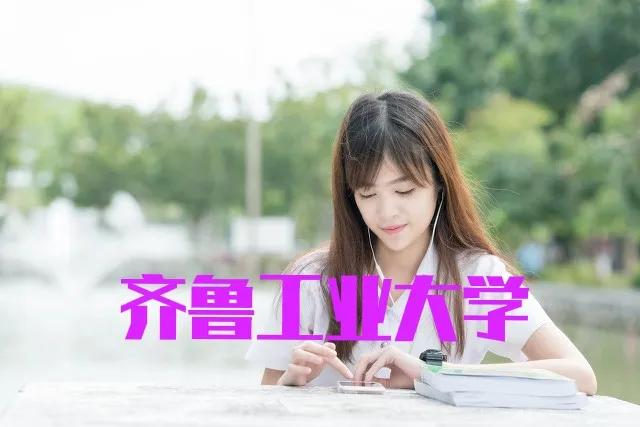 齐鲁工业大学分数线（高考院校数据解读）