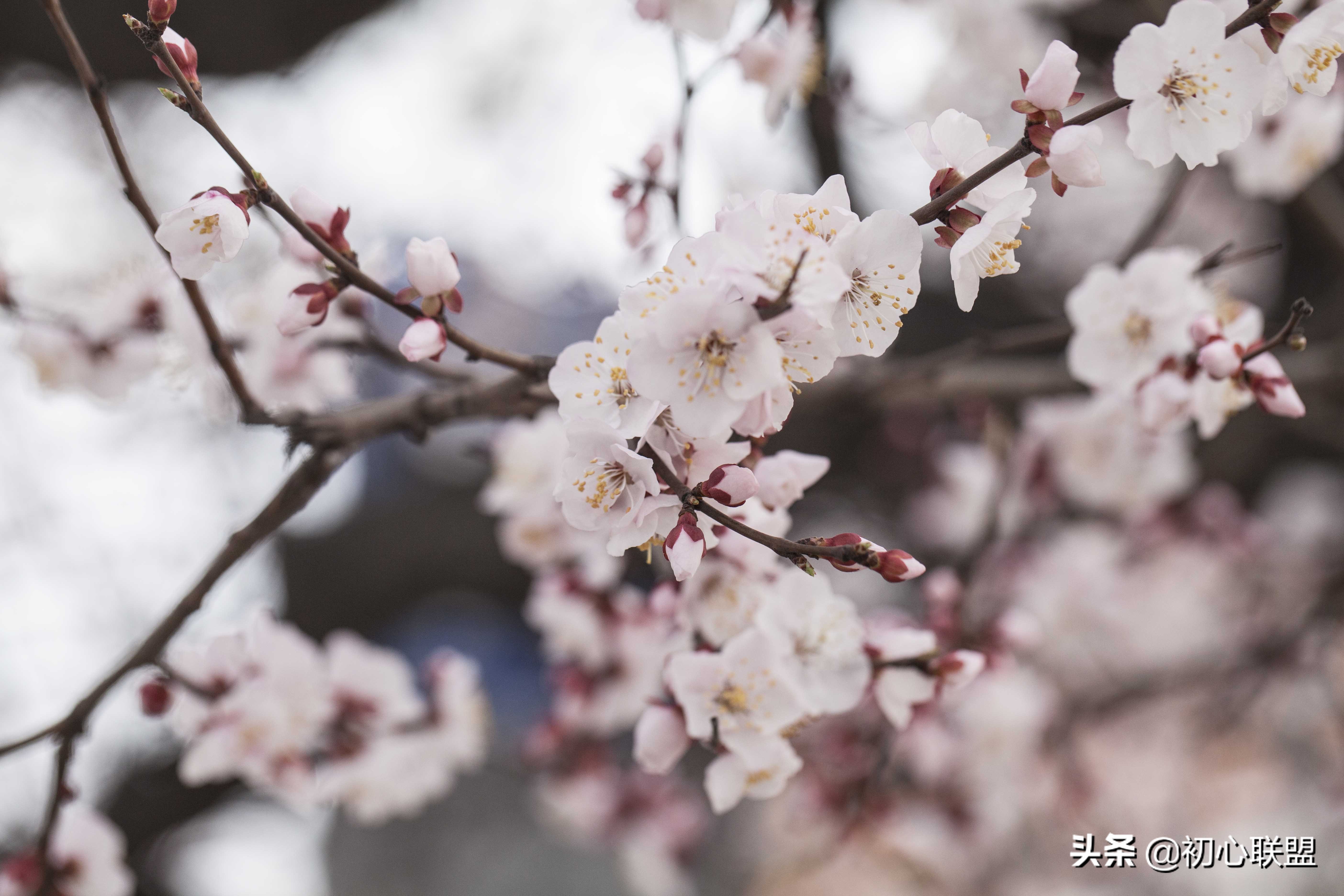 新视野大学英语单词表（带你获得辽宁大学日语研究生入场券）