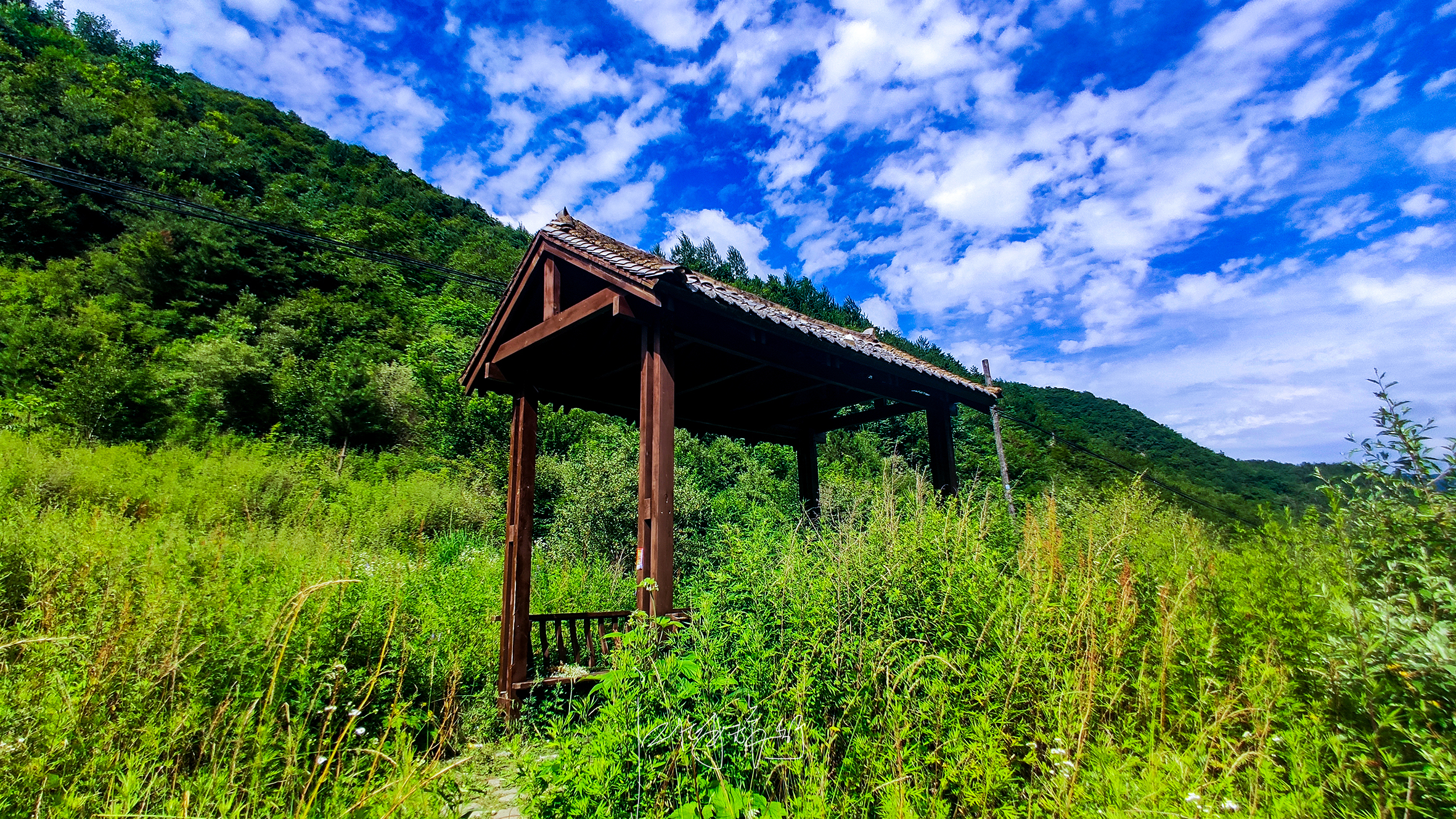 秦岭最清凉的人间秘境,一路都是美景,这才是最舒服的自驾游线路