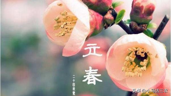 2022年是平年还是闰年（2020年有两个立春）