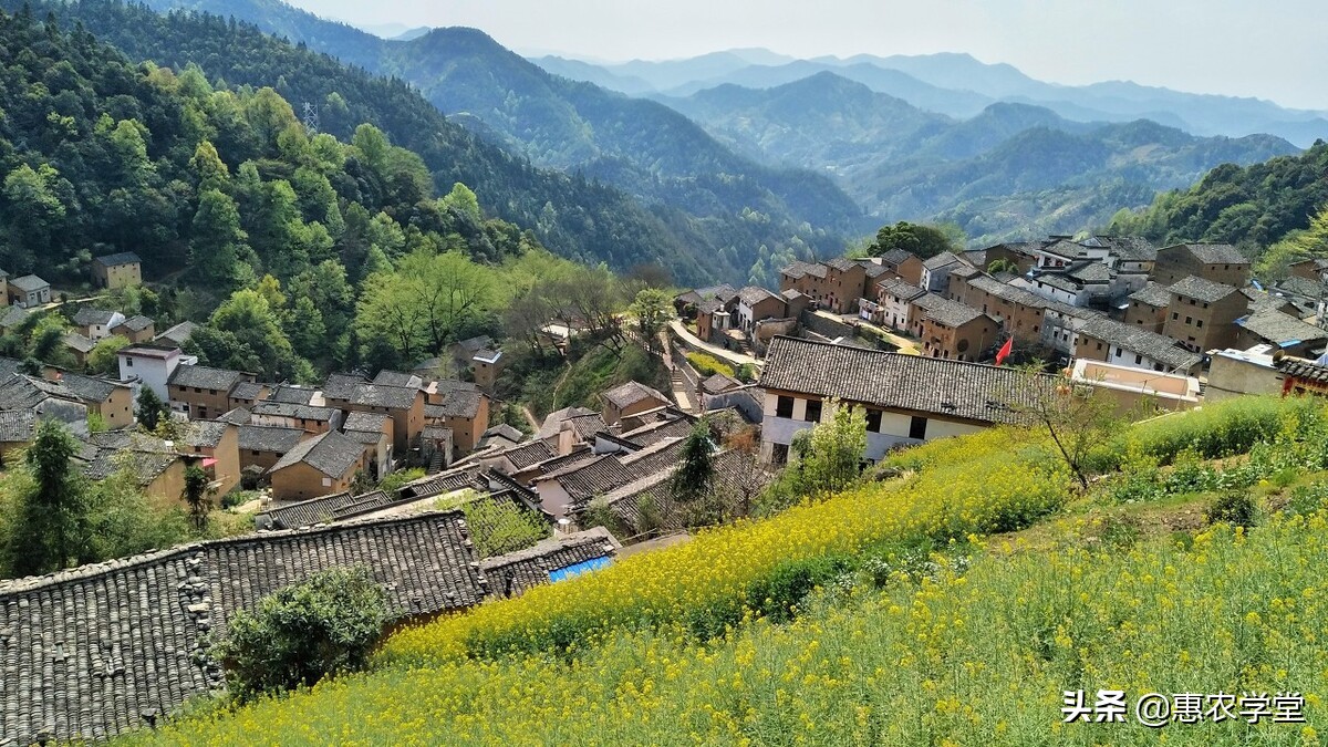 农村荒地可以建房子吗？开垦的荒地使用权归自己吗？征收有补偿吗