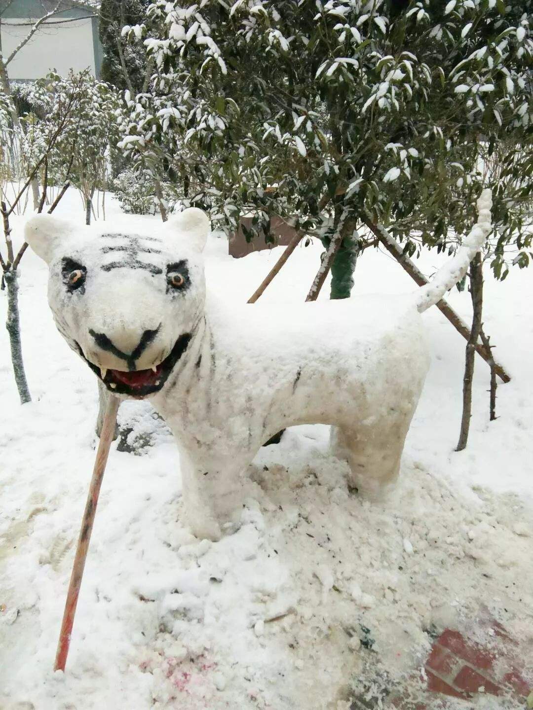 梦见下雪了(梦到下雪预示了什么？)