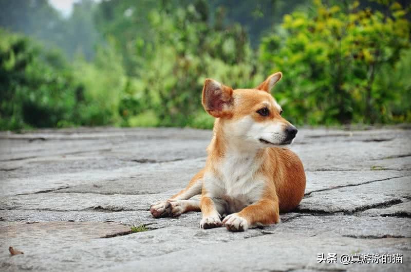 网络小说迷忘不了的7个名句，知道3句的，博览群书没错了