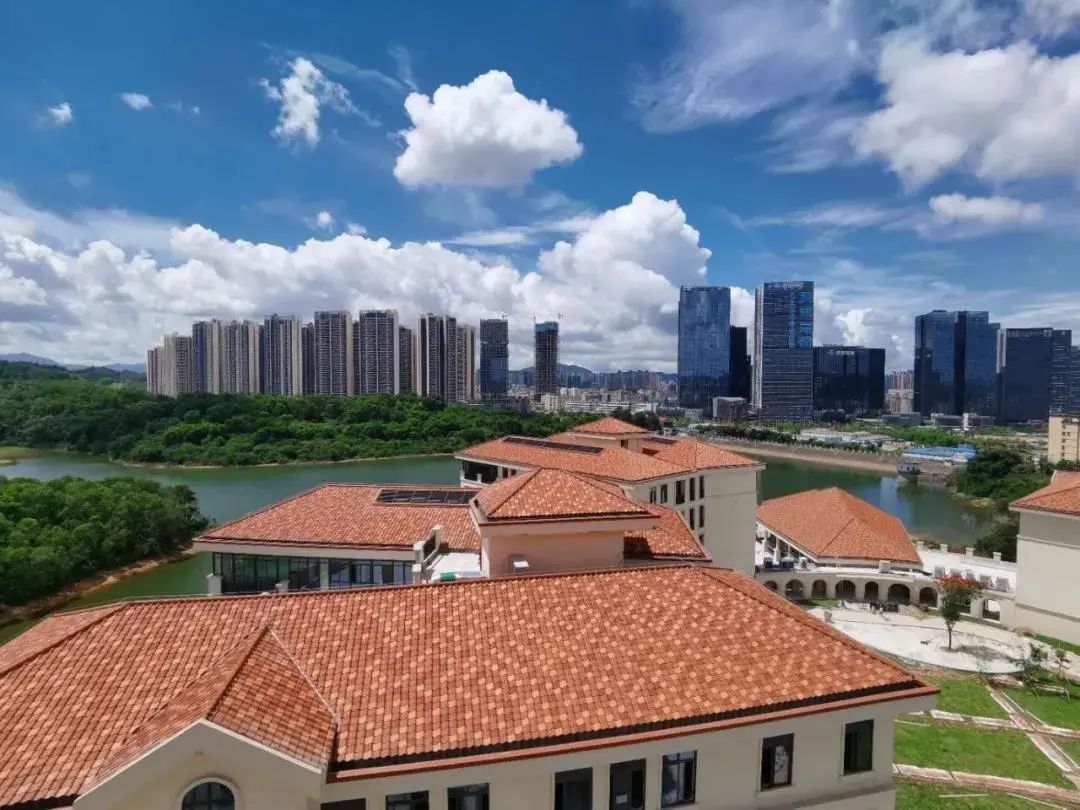 学校排名！深圳民办小学、初中、 高中学校排名名单