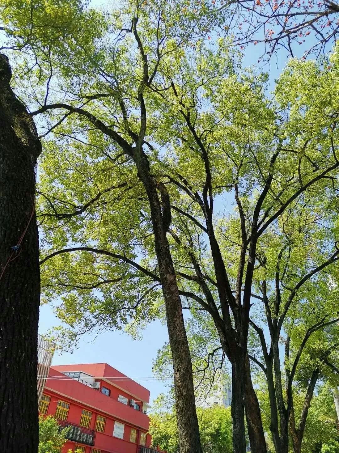 就读中职类学校，前途在哪里？