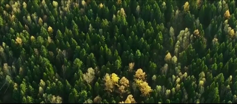 火了！北京这所大学频频登上中央电视台，研究成果在全世界发行！