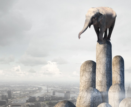 蒋方舟说：“最怕你只是小有才华”，九十九步和一步一样徒劳