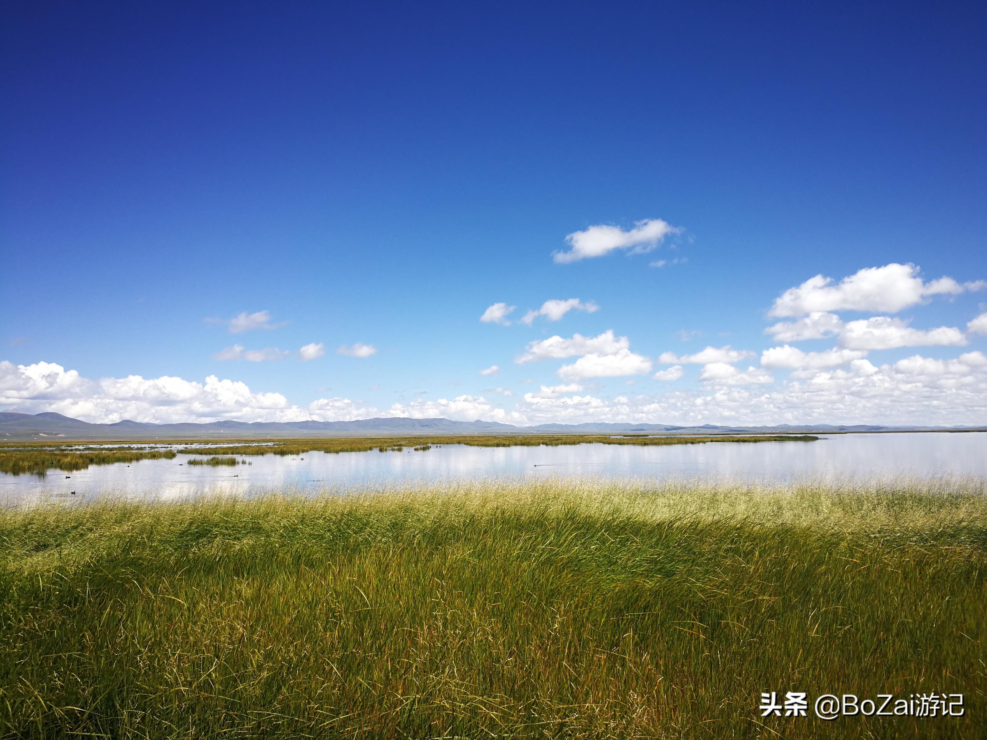 到四川阿坝旅游不能错过的19个景点，你去过几个？最爱哪个景点