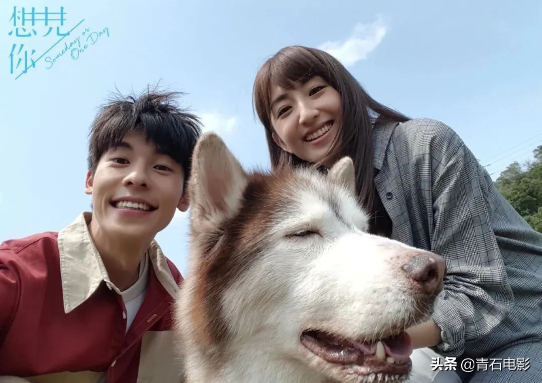豆瓣最火的10大台剧，《我可能不会爱你》第3，《流行花园》第6