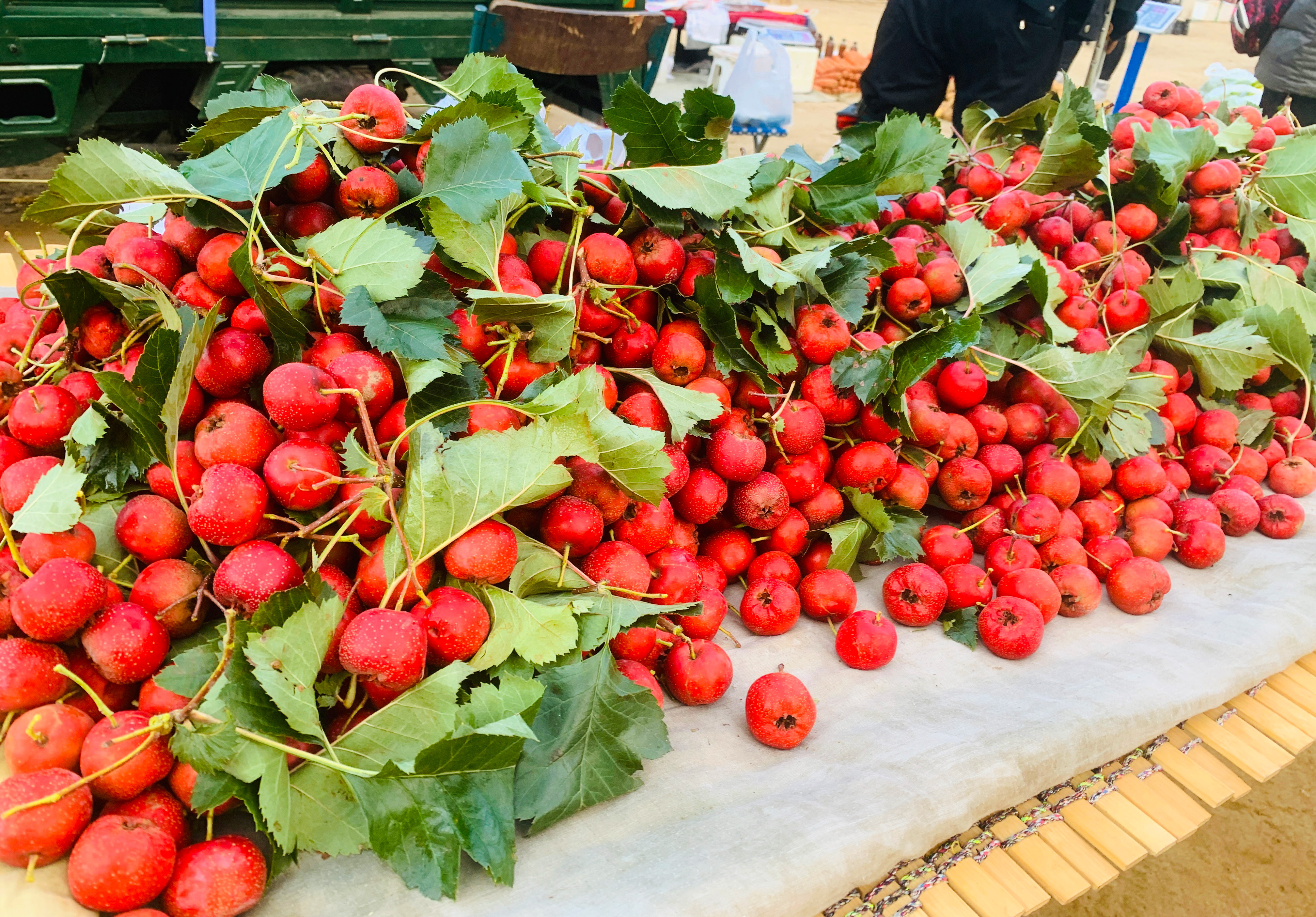 山楂不要晒干了，这样存放，明年也有鲜果吃，随时能做罐头、果酱