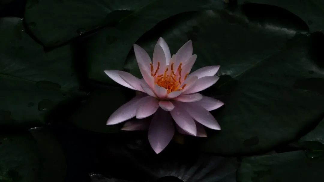 怀德学院“心怀正气 尚德倡廉”文化作品展