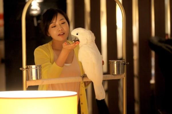 大盘点：2018年最受欢迎鹦鹉（中小型鹦鹉）排行榜｜收藏