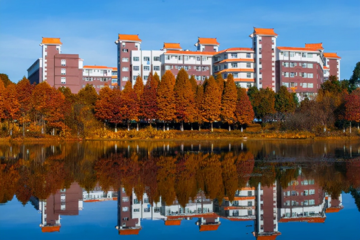 考生注意！这5所院校转设失败，被取消办学资格，未来将何去何从