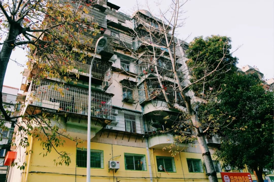 老破小一平10万+！我们走遍厦门18所名校，为你曝光最贵学区房！