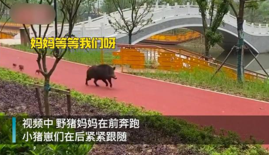 武汉有哪些知名大学？看完想重新再读一次