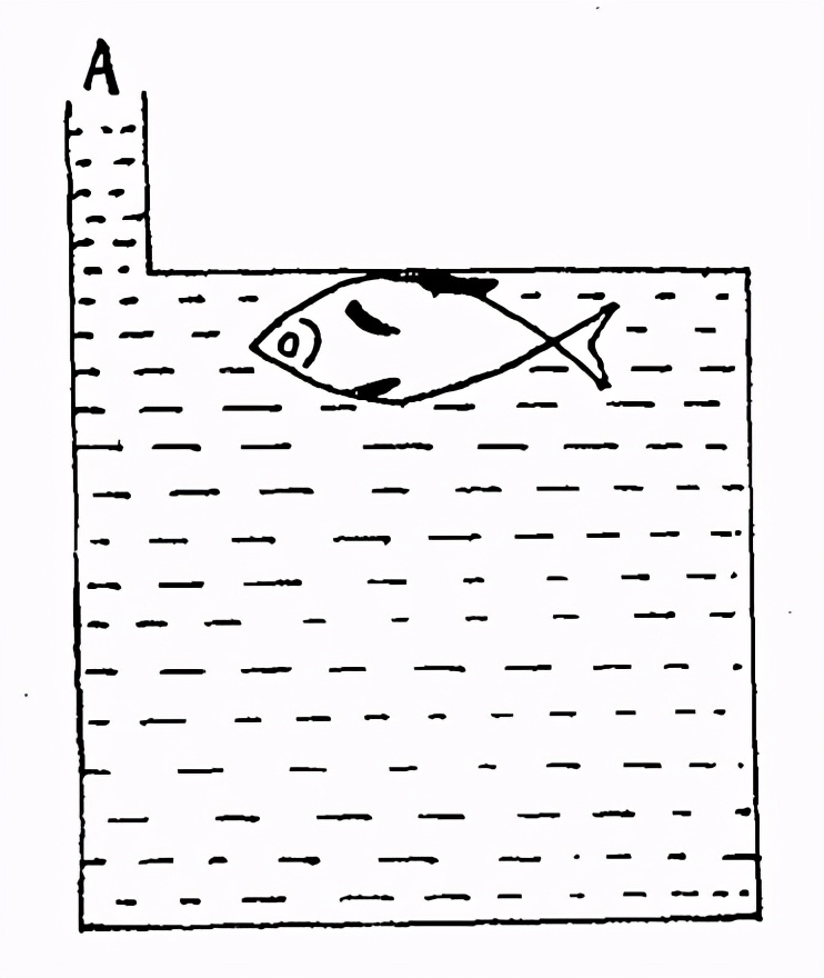 ΪʲôһƯˮϣǱͧը˻û