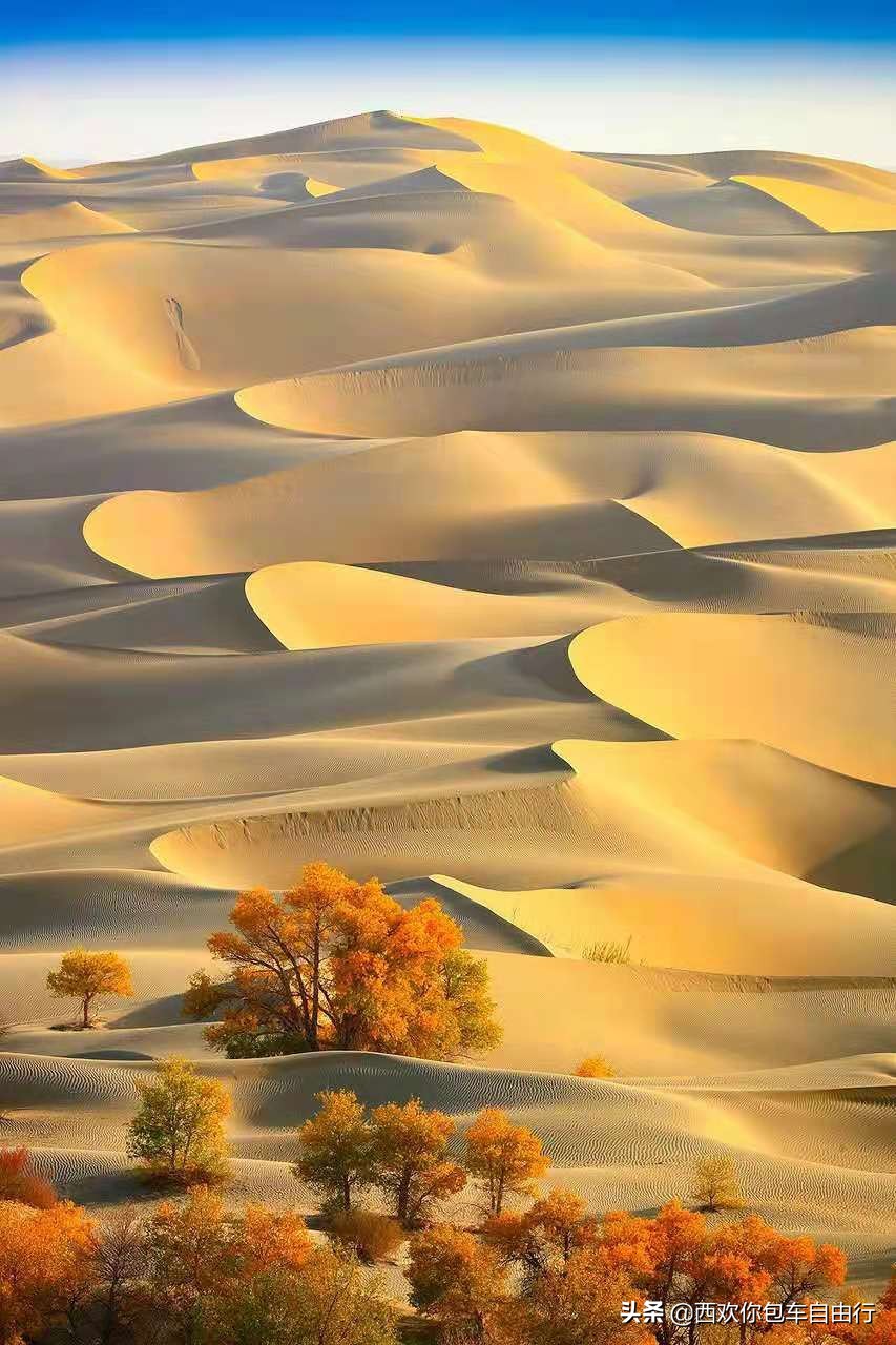 新疆各景区门票价格大全，欢迎补充