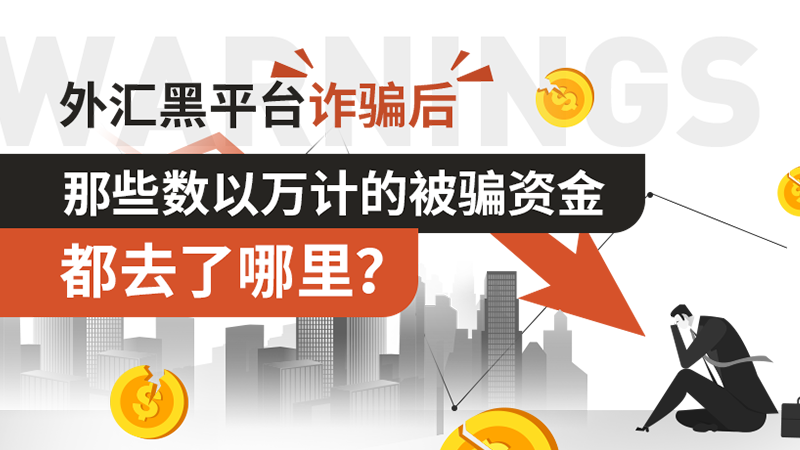 外汇天眼讯：地下钱庄的洗钱方式揭秘！你被骗的钱到哪儿了？