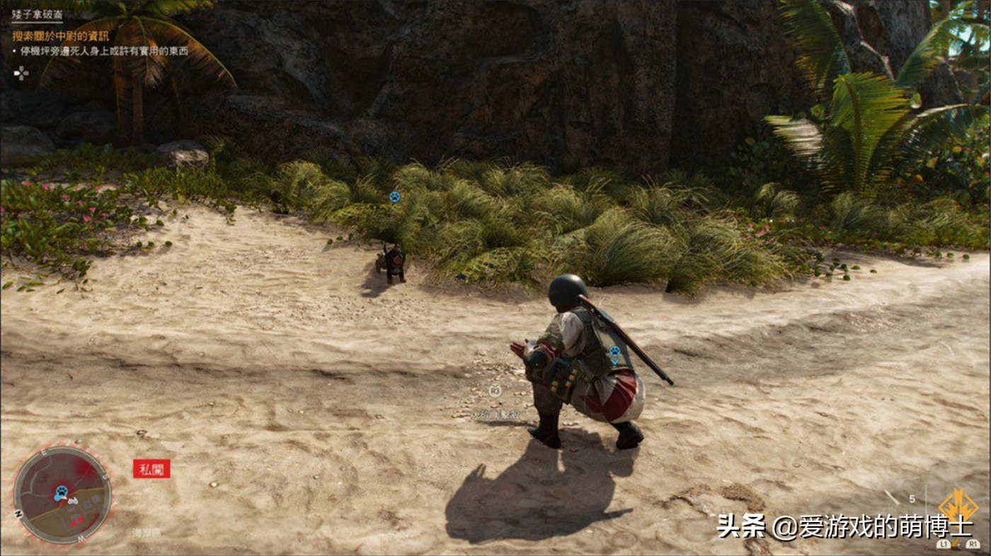 入手育碧的《孤岛惊魂6》之前，你需要知道的七件事