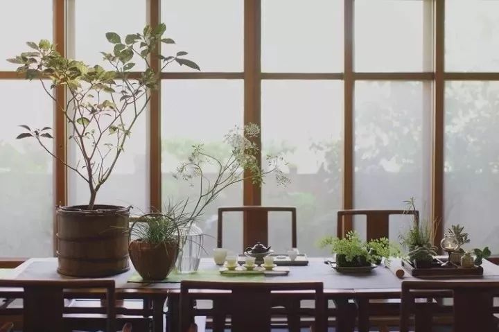 想要一间茶室，“阅尽风流，回归本真”