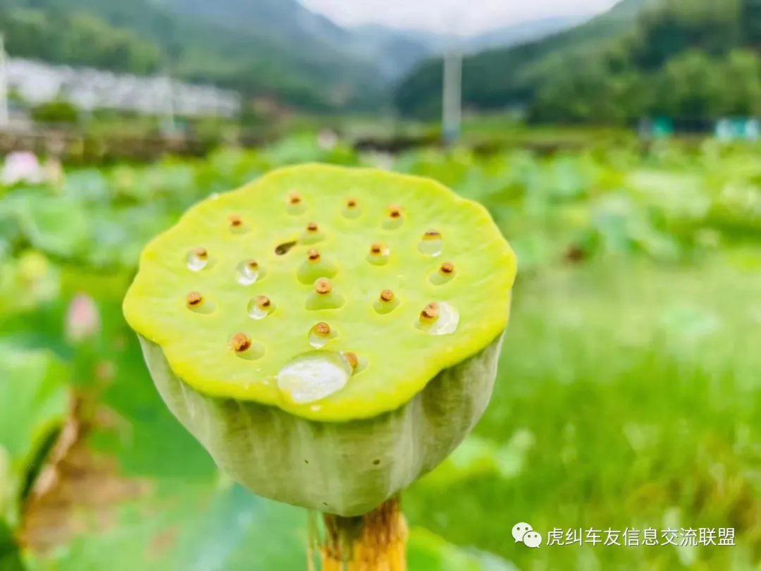 福建车茶机车俱乐部鼎力助阵首届泰宁机车旅游节花絮篇