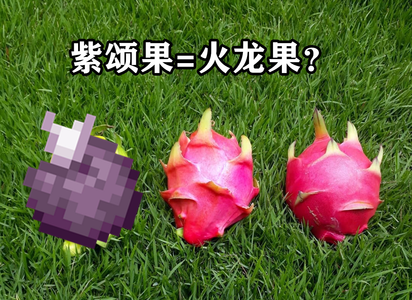 我的世界：紫颂果，不为人知的13个秘密！mc末地歌萊果之谜