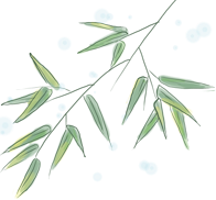 古诗词赏析 |《寒菊 / 画菊》郑思肖