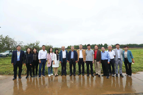 进展良好 成果突出 前景可期——国家重点研发计划项目“大豆及其替代作物产业链科技创新”通过中期检查