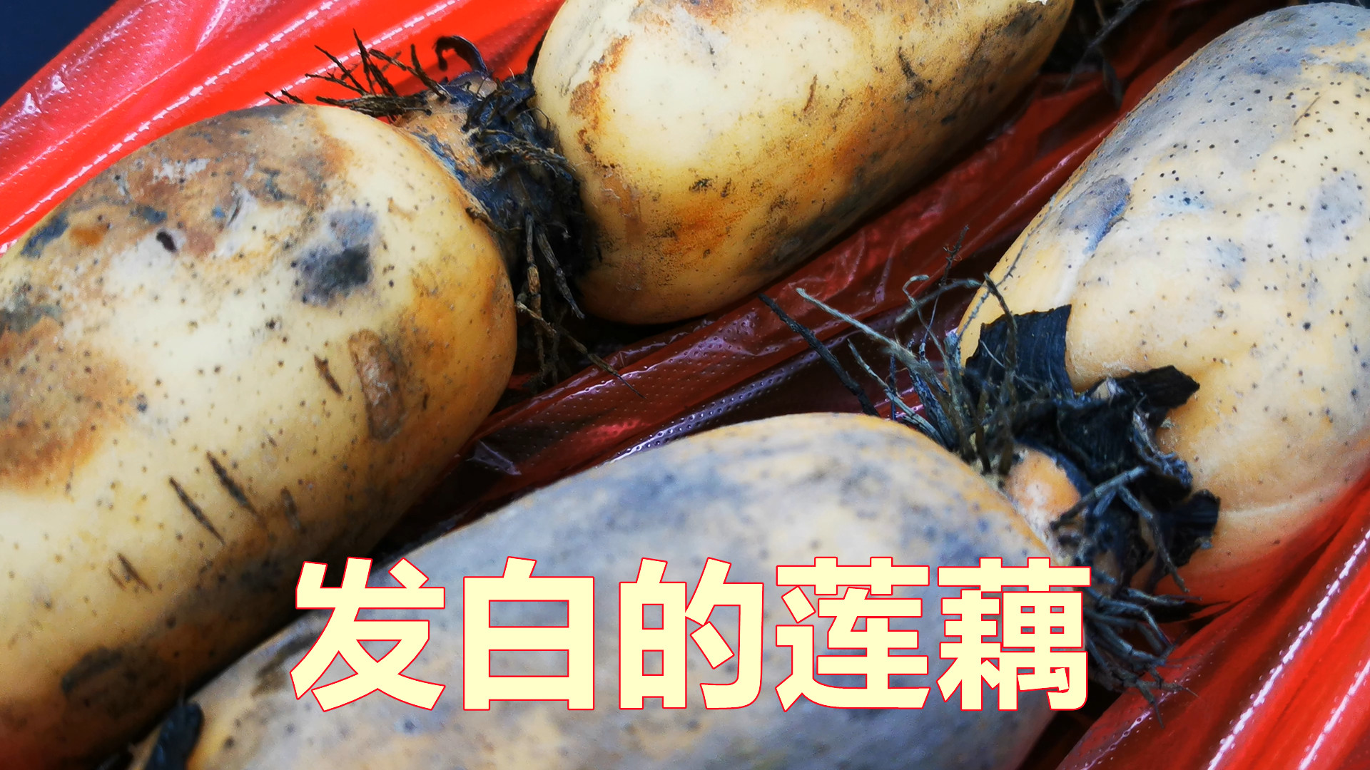 我才知道，超市的6种蔬菜，再便宜别买回家，比垃圾食品还差
