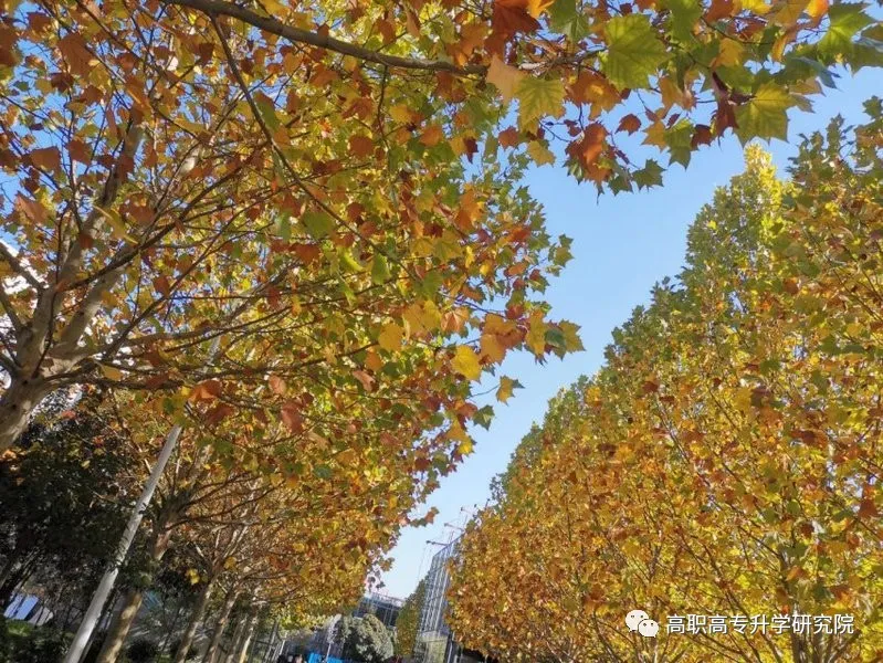 河南机电职业学院