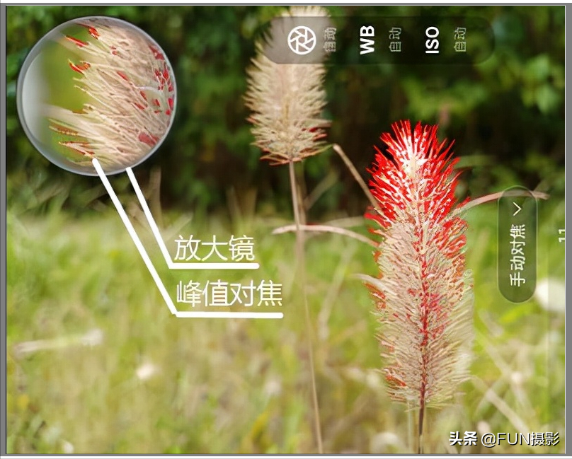 拍的照片不够锐利清晰，试试手动对焦，两招教你拍出高清照片
