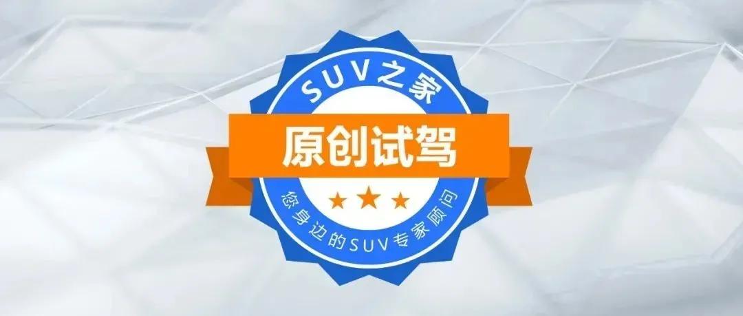 甲壳虫大众：朋克元素邂逅摩登风尚