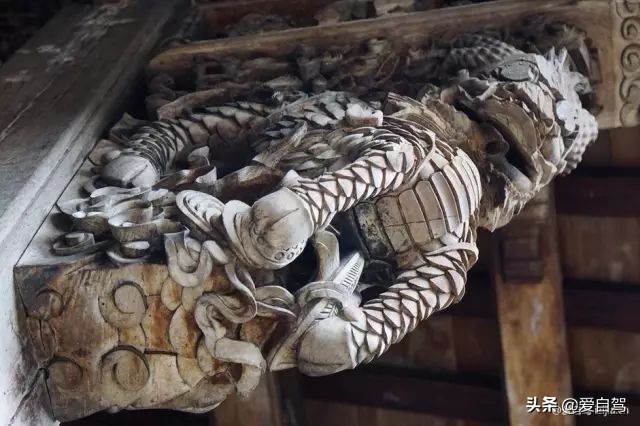 丽水的这座宝藏小县城，隐秘于浙西南的世外桃源