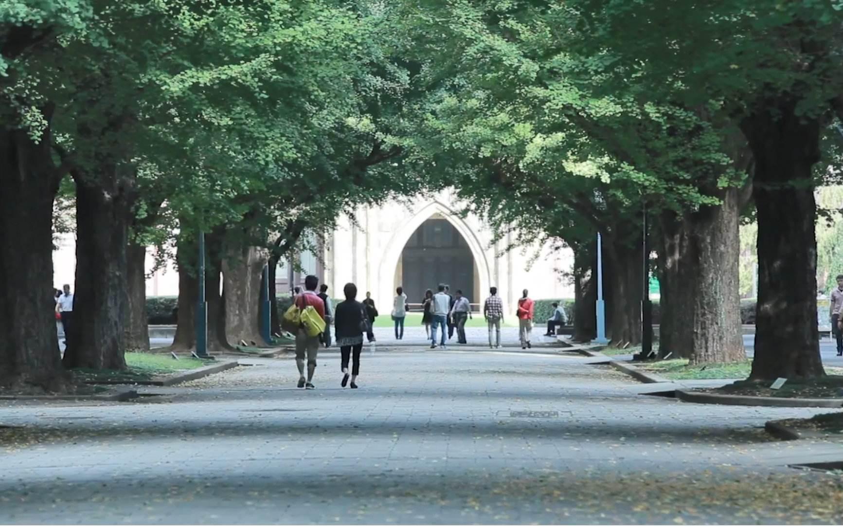 985高校在校学生求助：即将被退学了我该怎么办？