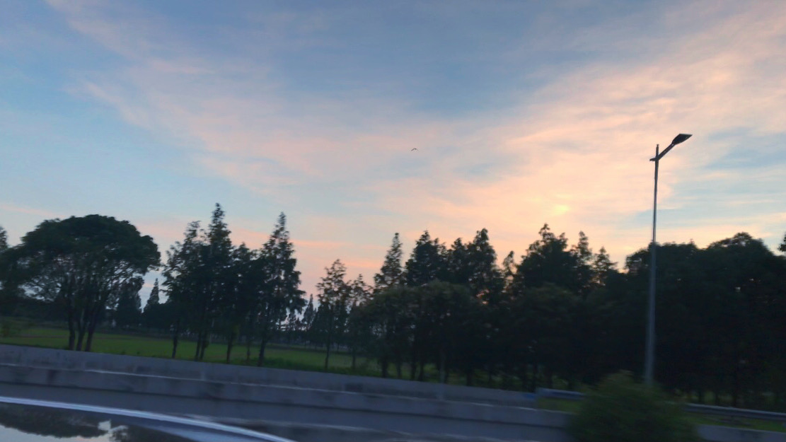 上海淀山湖风景区自驾一日游