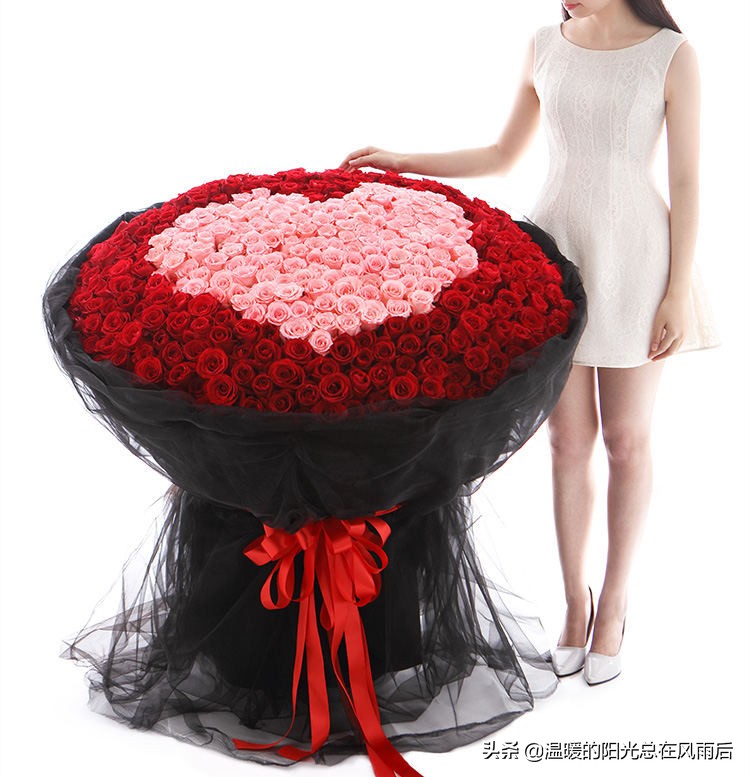 我爱你--520朵玫瑰 表白求婚，不二之选