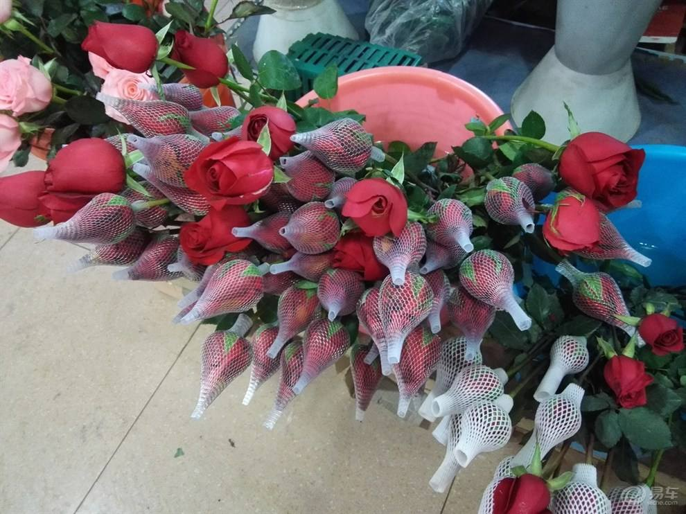 怎么养花店买的花（花店的鲜花正确处理方法）