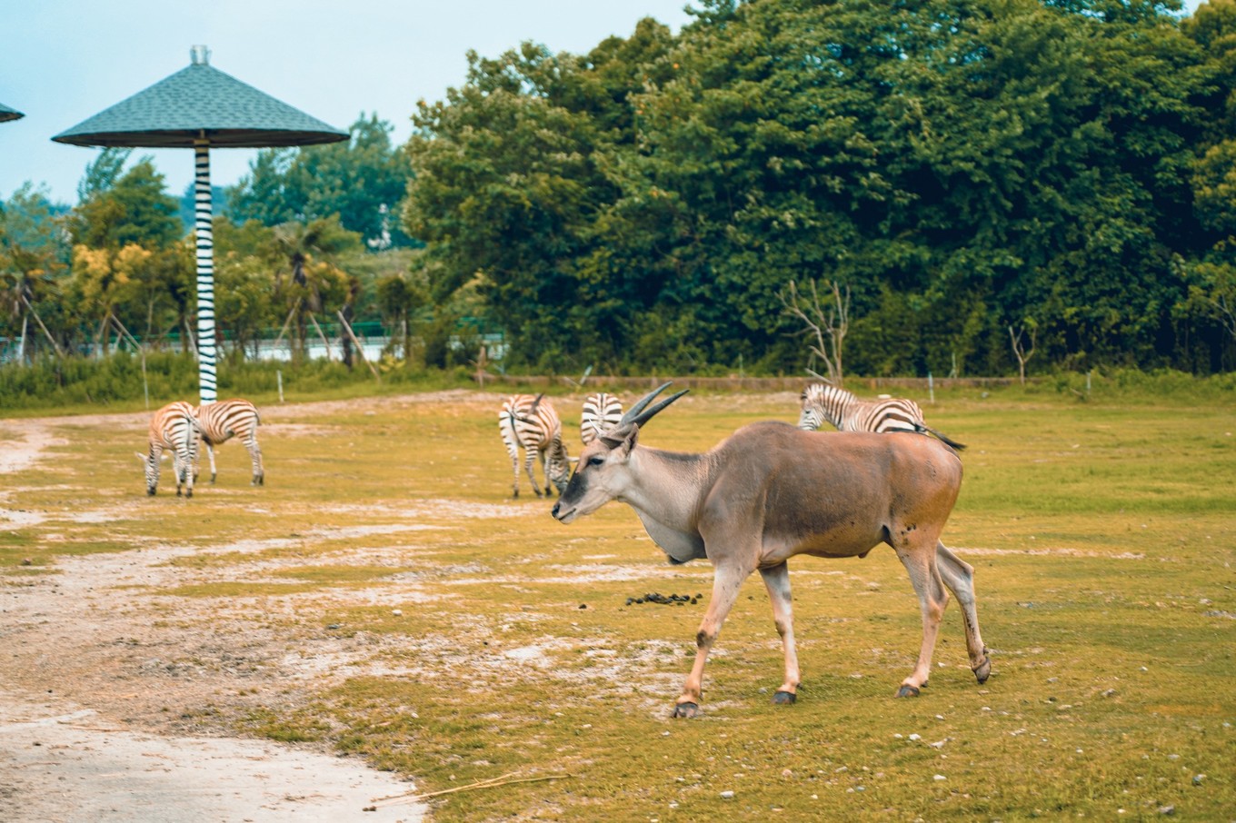 宁波雅戈尔动物园门票多少钱(宁波亲子游) - 价格百科