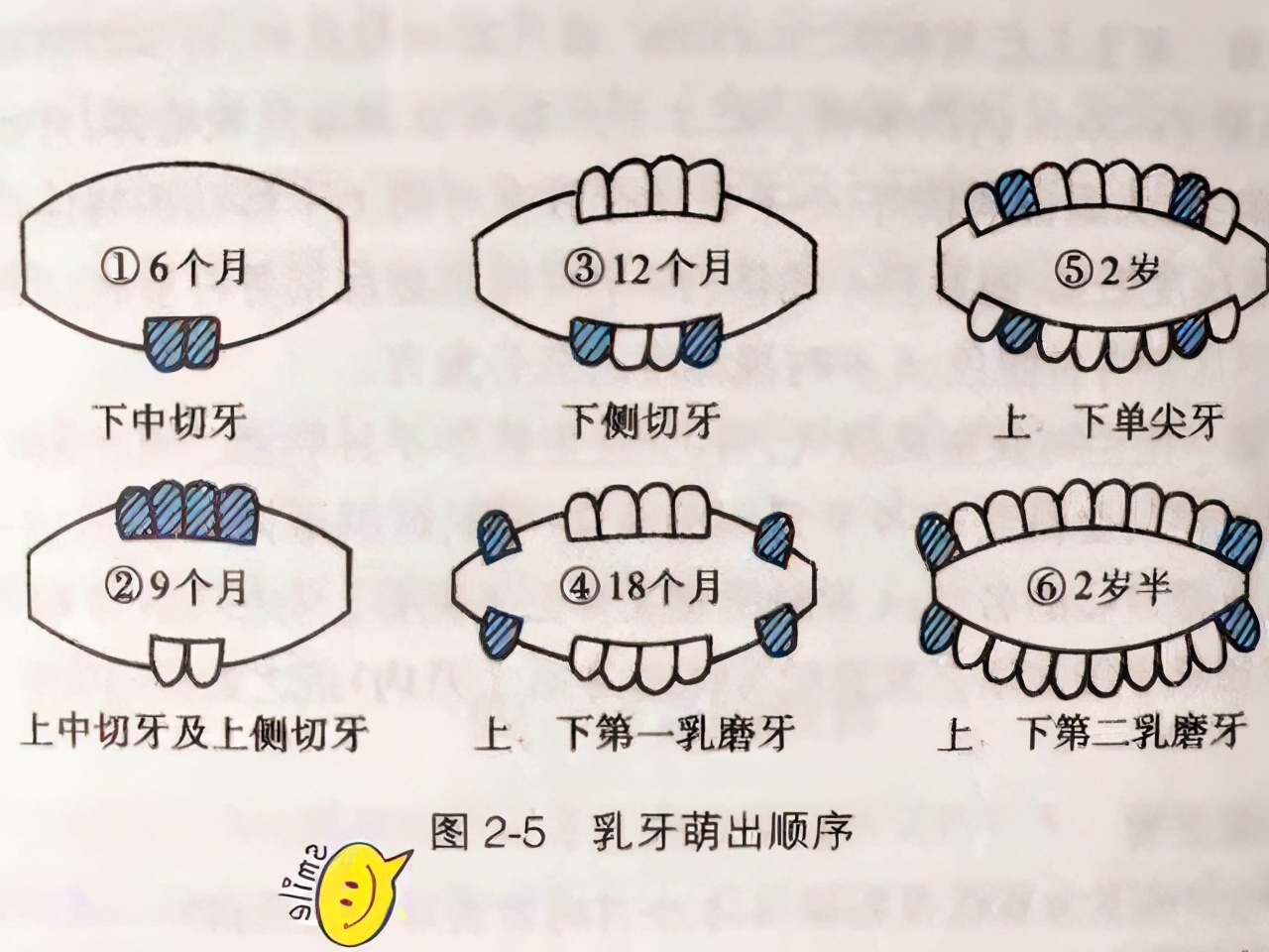 宝宝长牙时间表：7个表现说明宝宝正在长牙，家长注意正确护理