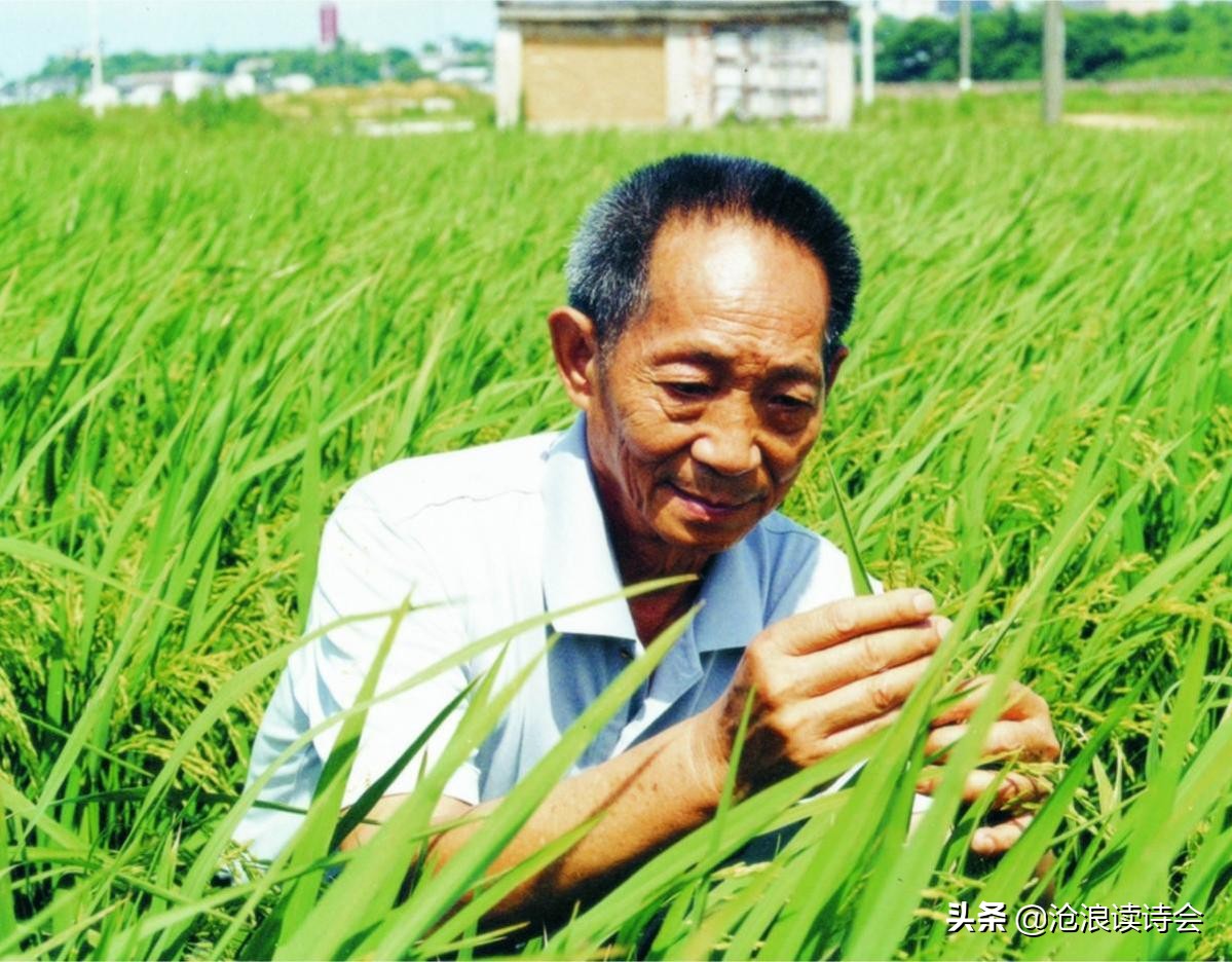 这30首诗写尽人间烟火，字字真情，细读落泪，王和尚推荐当代佳作