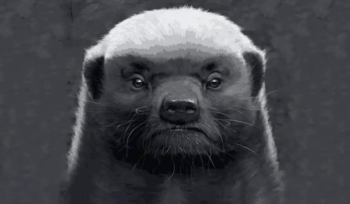 平头哥图片(生死看淡) - 赤虎壹号