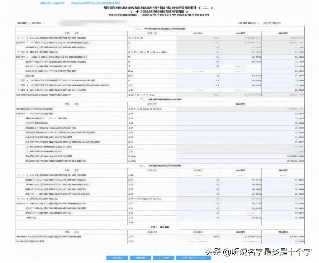 增值税及附加税费一般纳税人申报