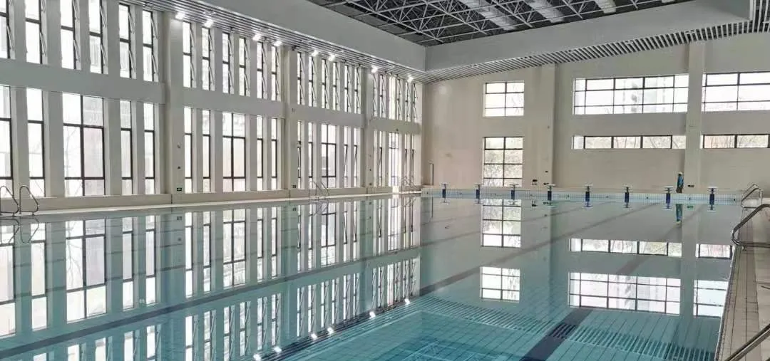 2022杭州亚运会吉祥物发布！排球、橄榄球决赛在杭师大举行，可零距离感受“女排精神”！