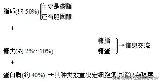 细胞膜的主要成分,细胞膜的主要成分是磷脂和蛋白质对吗