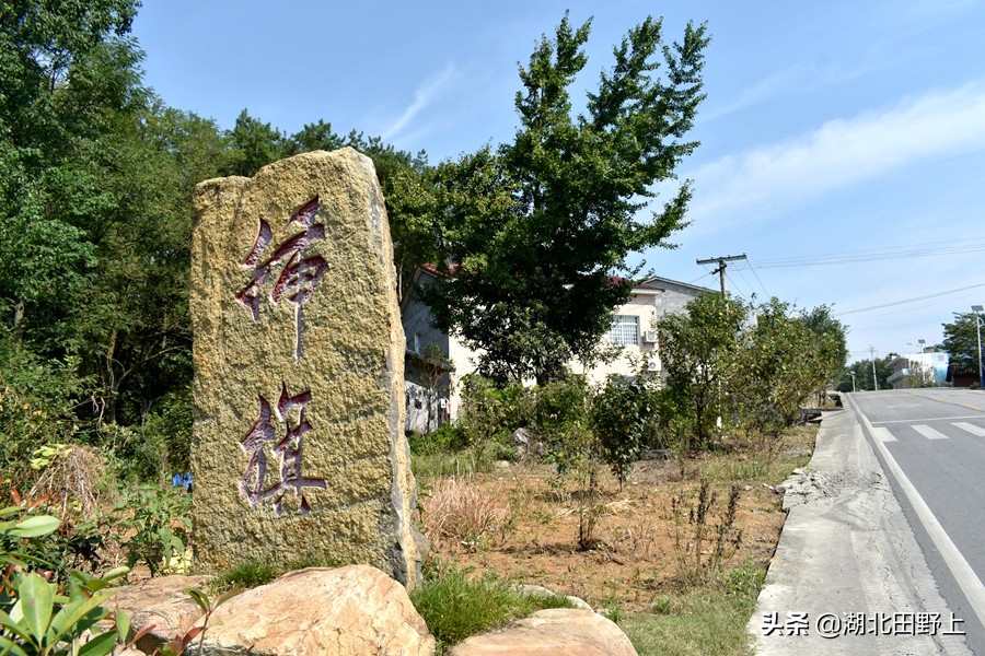 田野上團(tuán)隊(duì)回訪(fǎng)美麗的分鄉(xiāng)鎮(zhèn)插旗村