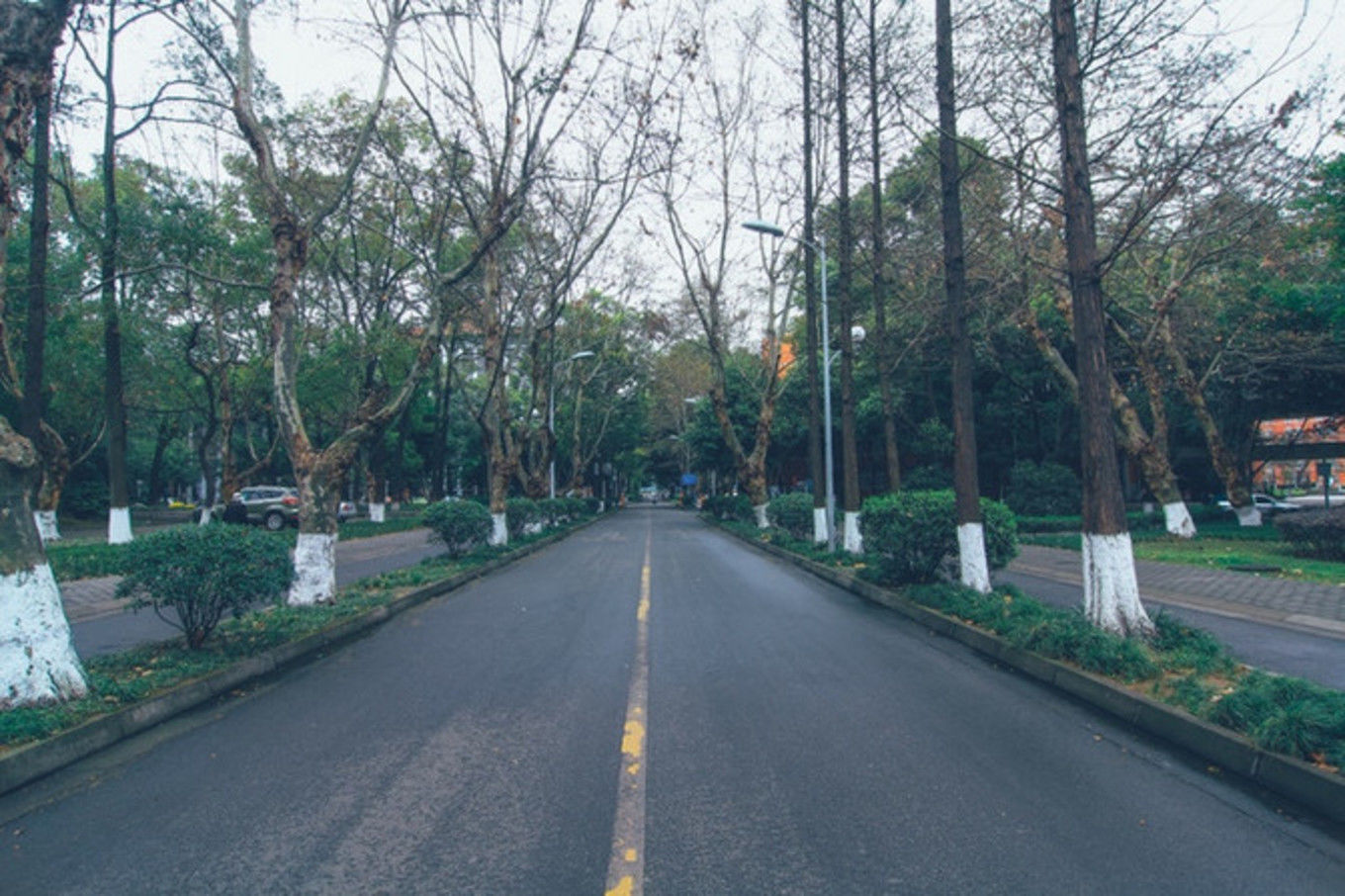 最美校园游——四川大学望江校区