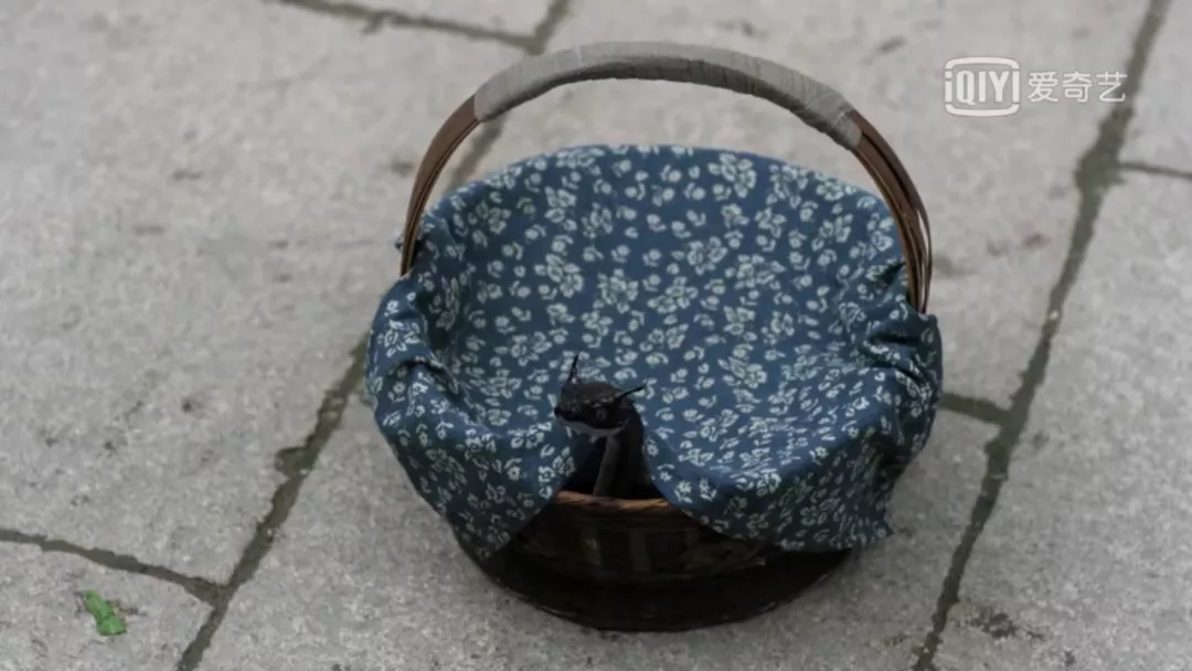 聪明无敌，美貌非凡，人见人爱，身世特殊，你心中第一玛丽苏是谁