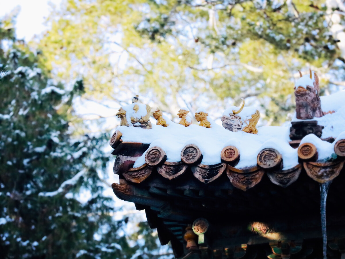 浅冬薄念，雪满人间，愿这一季素冬，时光安好，岁月无恙