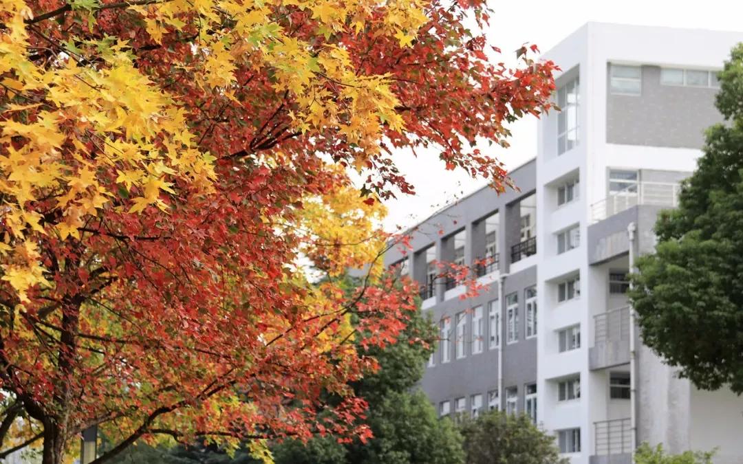 安徽新華學院是幾本?是什么性質學校(圖12)